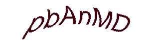 عبارت امنیتی