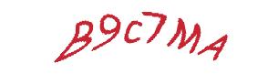 عبارت امنیتی