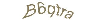 عبارت امنیتی