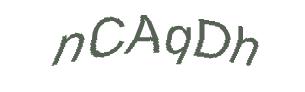 عبارت امنیتی