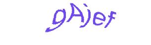 عبارت امنیتی