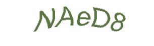 عبارت امنیتی