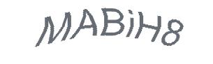 عبارت امنیتی