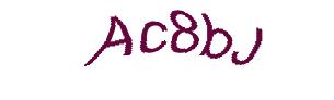 عبارت امنیتی