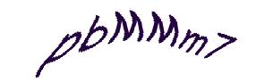 عبارت امنیتی