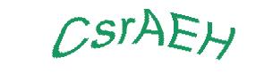 عبارت امنیتی