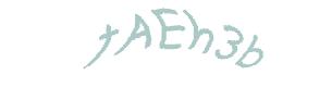 عبارت امنیتی