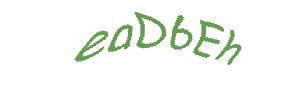 عبارت امنیتی