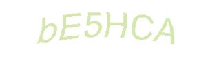 عبارت امنیتی