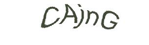 عبارت امنیتی
