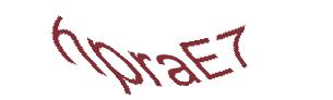 عبارت امنیتی