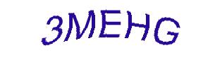 عبارت امنیتی