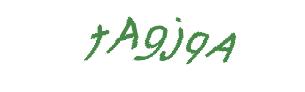 عبارت امنیتی