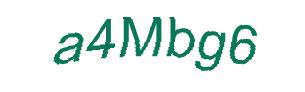 عبارت امنیتی