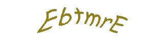 عبارت امنیتی