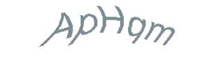 عبارت امنیتی