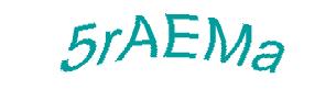 عبارت امنیتی