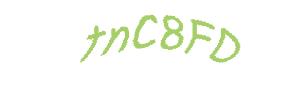 عبارت امنیتی
