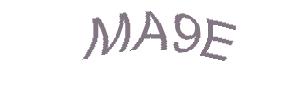 عبارت امنیتی