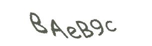 عبارت امنیتی