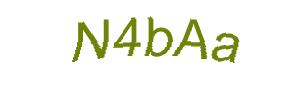 عبارت امنیتی