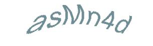 عبارت امنیتی