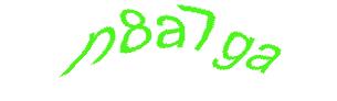عبارت امنیتی