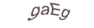 عبارت امنیتی