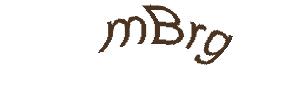 عبارت امنیتی