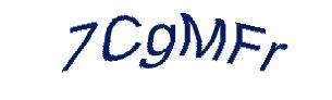 عبارت امنیتی