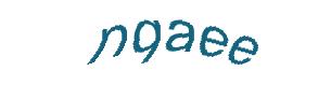 عبارت امنیتی