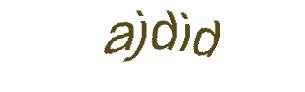 عبارت امنیتی