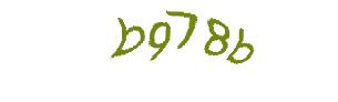 عبارت امنیتی