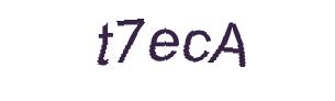 عبارت امنیتی