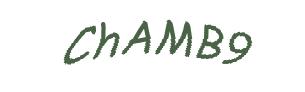 عبارت امنیتی