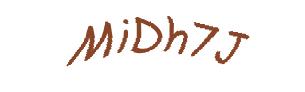 عبارت امنیتی
