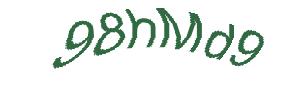عبارت امنیتی