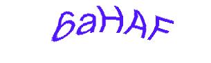 عبارت امنیتی