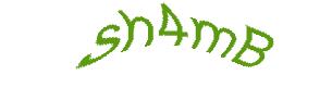 عبارت امنیتی