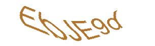 عبارت امنیتی