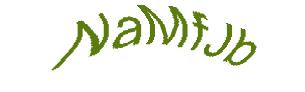 عبارت امنیتی