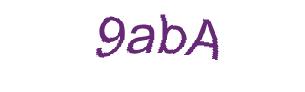 عبارت امنیتی