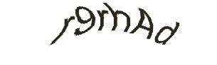 عبارت امنیتی