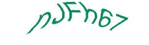عبارت امنیتی