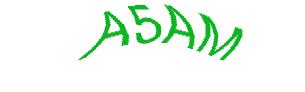 عبارت امنیتی