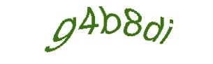 عبارت امنیتی