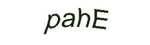 عبارت امنیتی