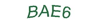عبارت امنیتی
