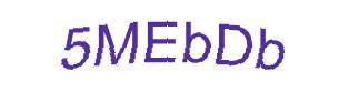 عبارت امنیتی
