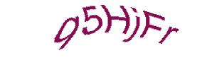 عبارت امنیتی